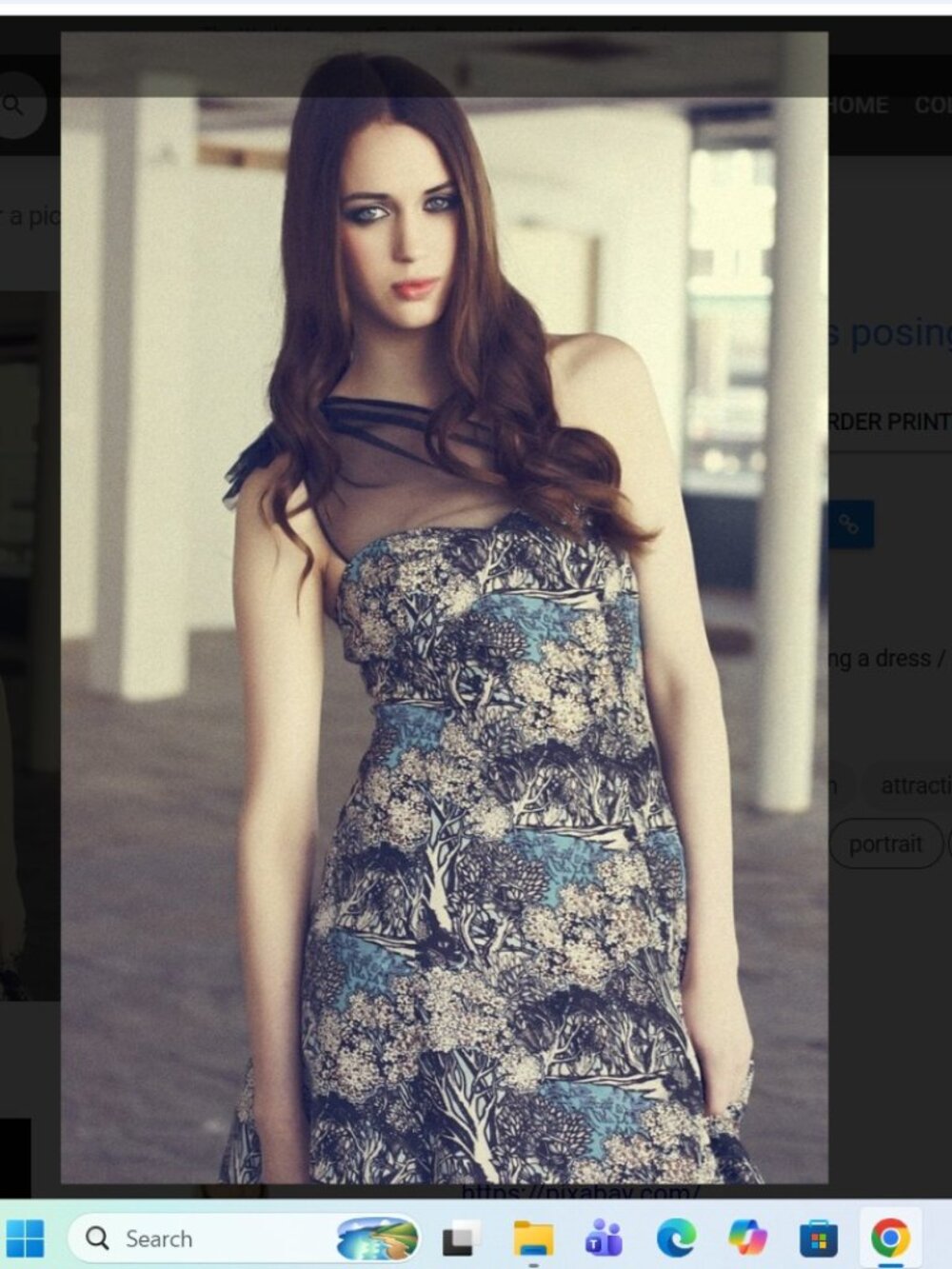 Tracy Reese Anthropologie Into The Woods One-shoulder Silk Dress Size 2
